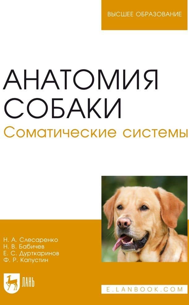 Анатомия собаки. Соматические системы. Учебник для вузов — Н. В. Бабичев