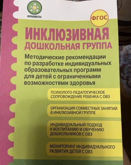 Инклюзивная дошкольная группа. Методические рекомендации. ФГОС — Наталья Викторовна Микляева (3)