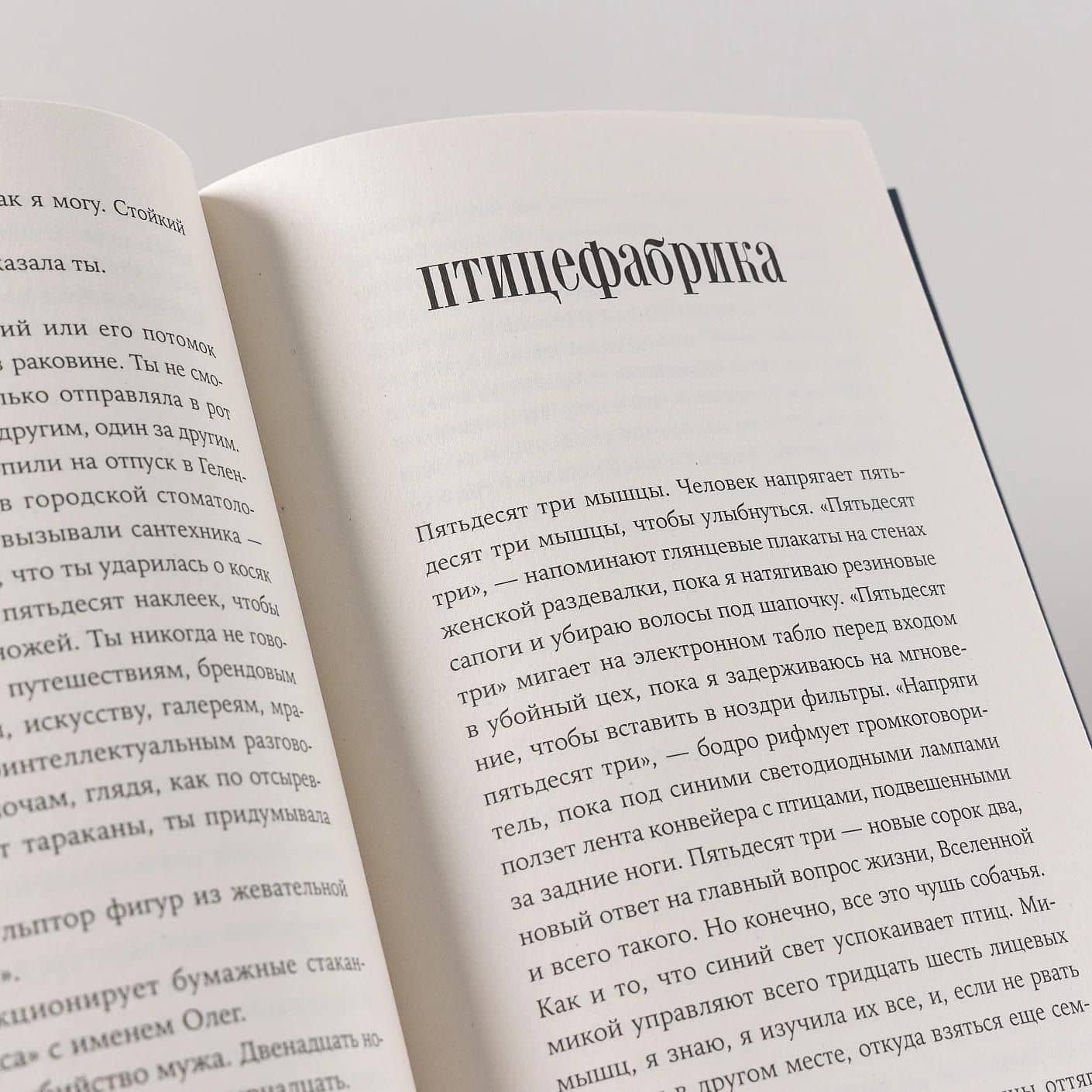 Вторжение. Повесть — Марго Гритт (2)