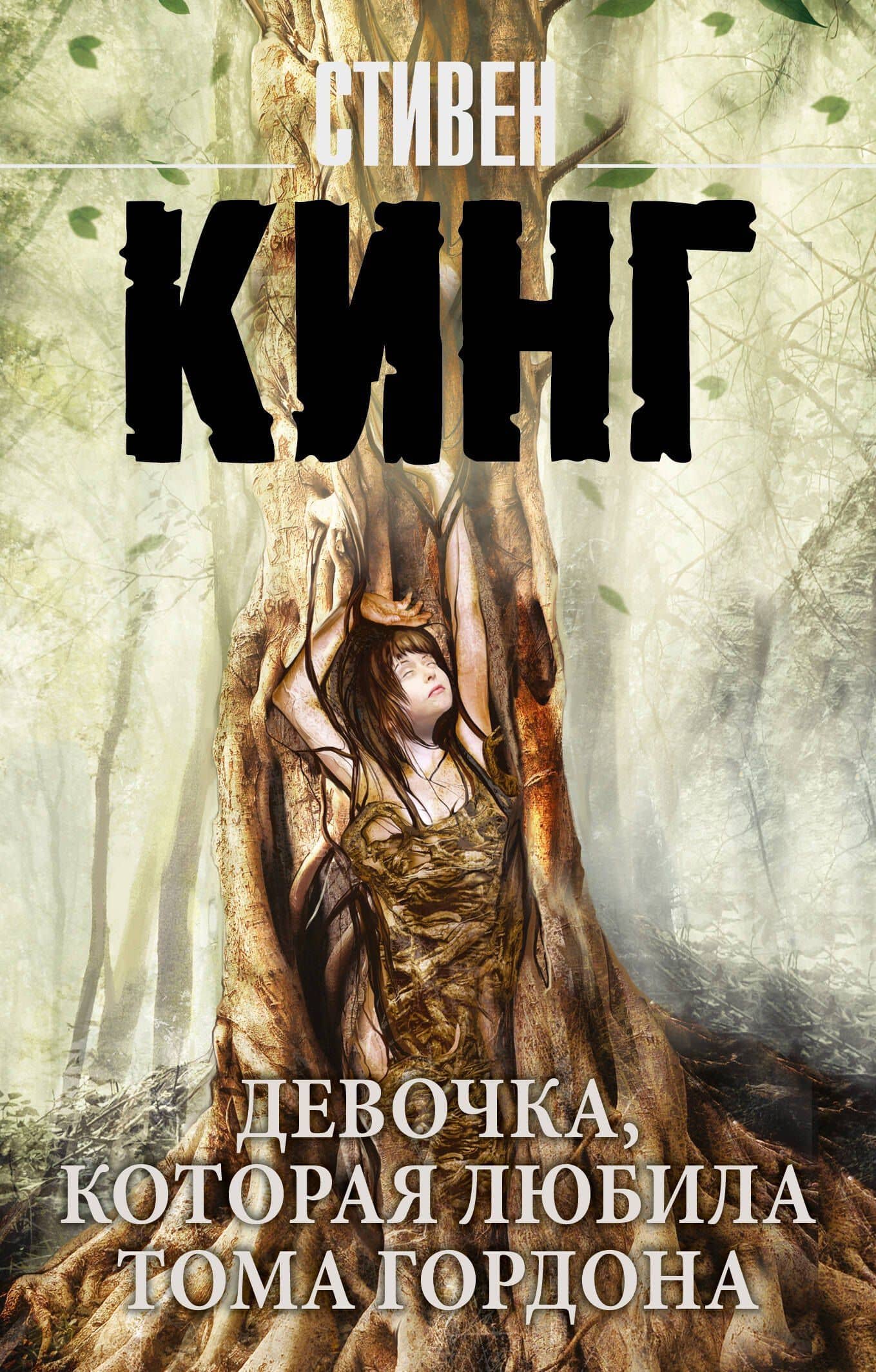 Девочка, которая любила Тома Гордона — Стивен Кинг