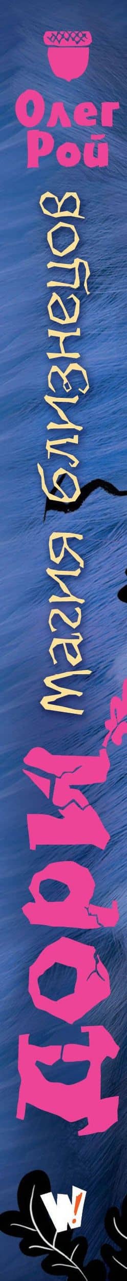 Дори. Магия близнецов — Олег Рой (3)