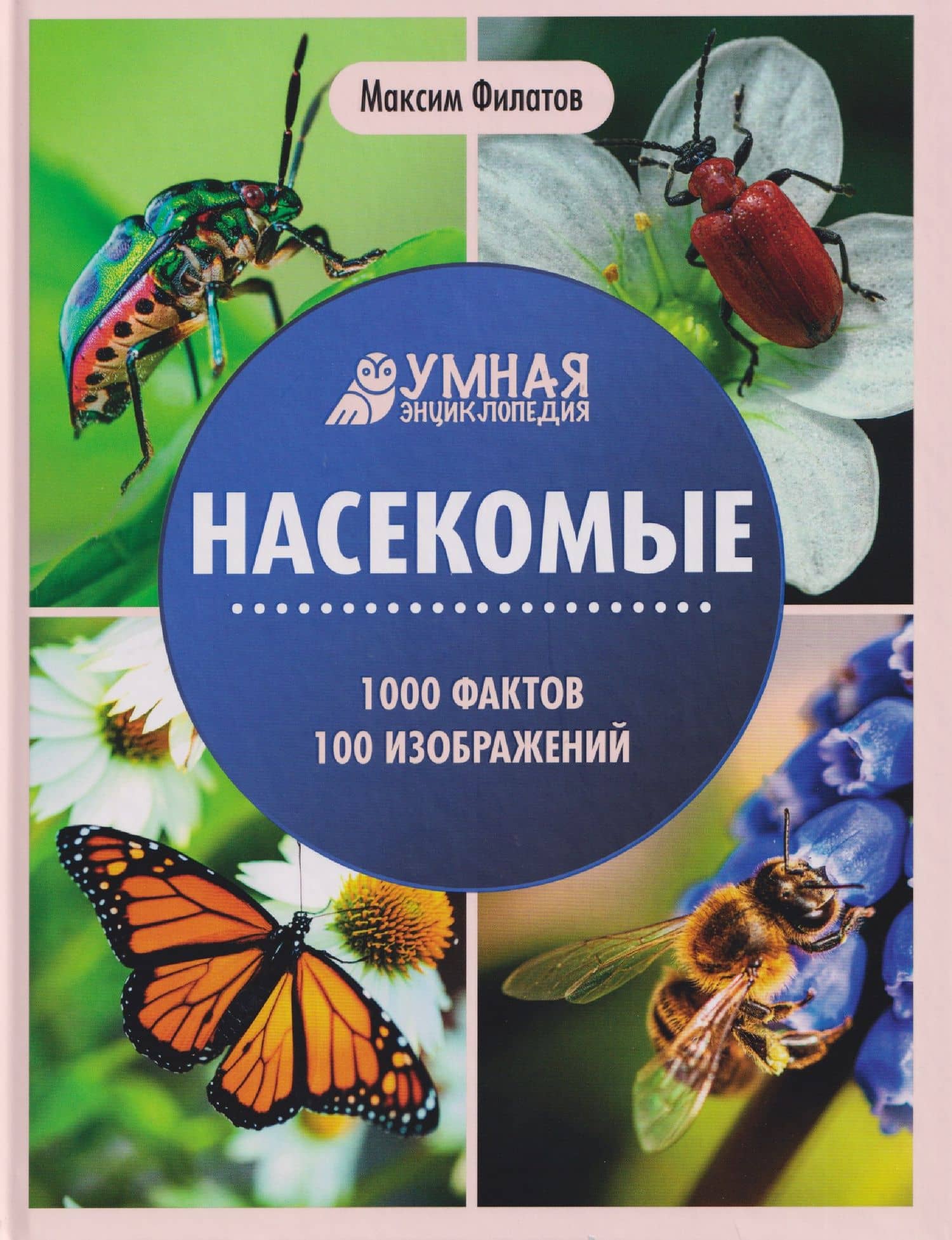 Насекомые: энциклопедия — Максим Алексеевич Филатов