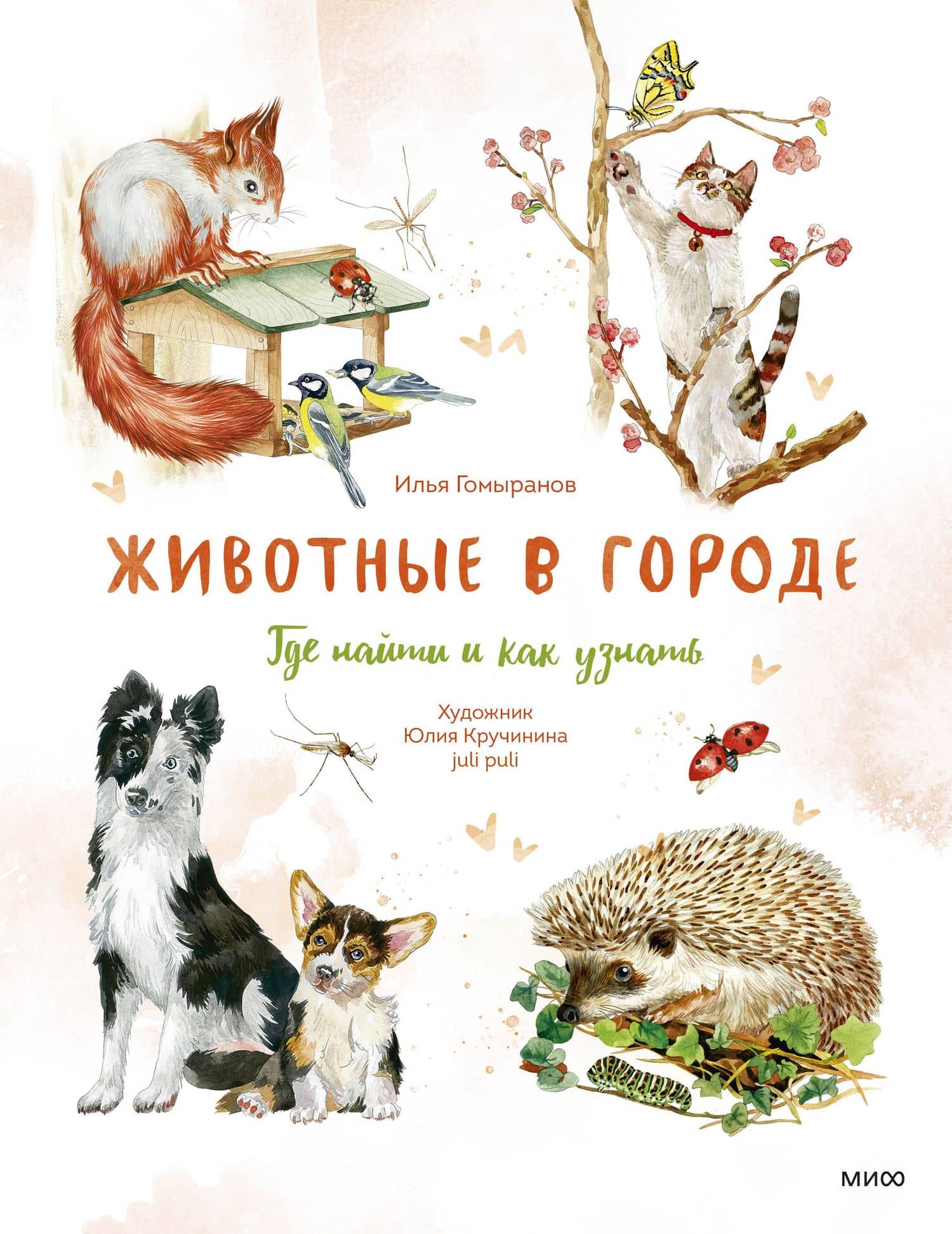 Животные в городе. Где найти и как узнать