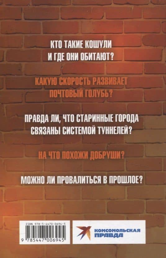 Добруши и кошули. Тайна башни — Александр Рогоза (2)