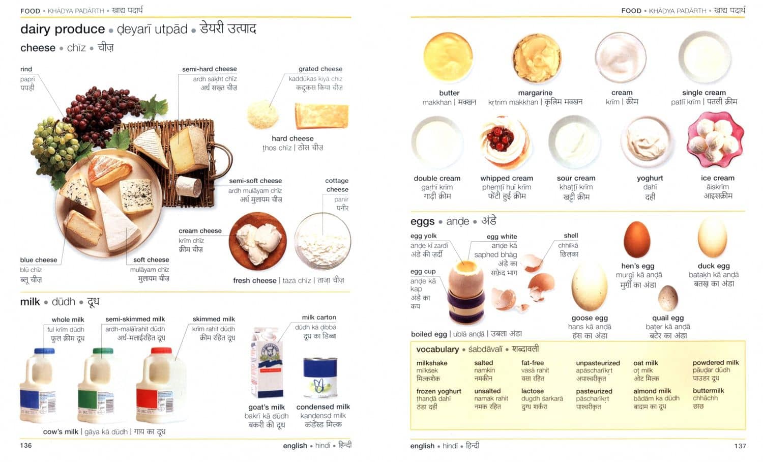 Hindi English Bilingual Visual Dictionary (3)