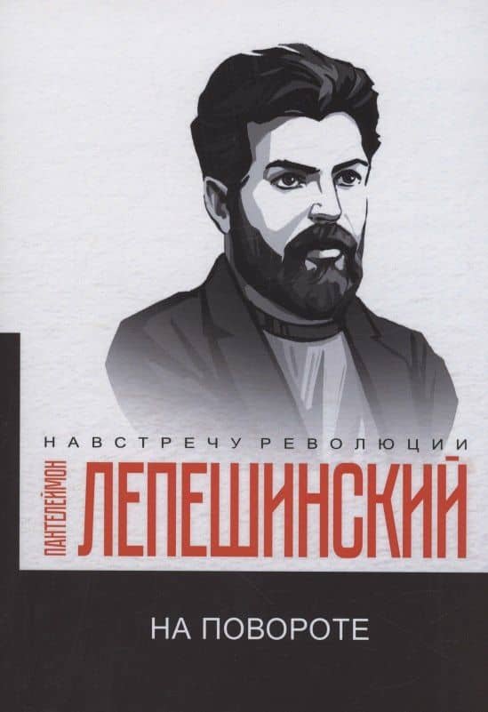 На повороте — Пантелеймон Николаевич Лепешинский