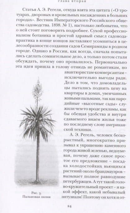 Страстоцвет, или Петербургские подоконники — Ольга Борисовна Кушлина (2)