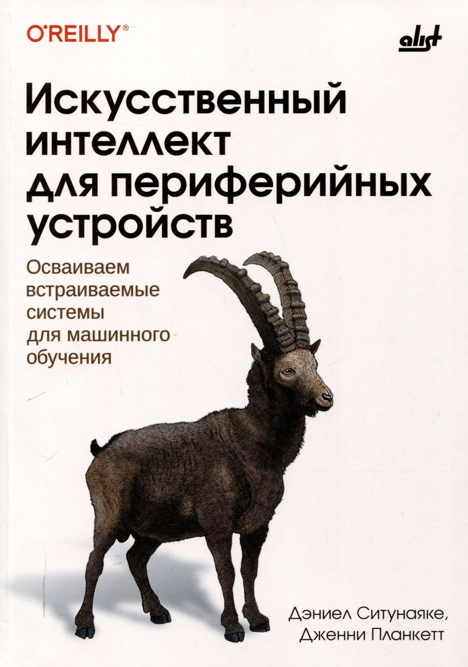 Искусственный интеллект для периферийных устройств — Дженни Планкетт