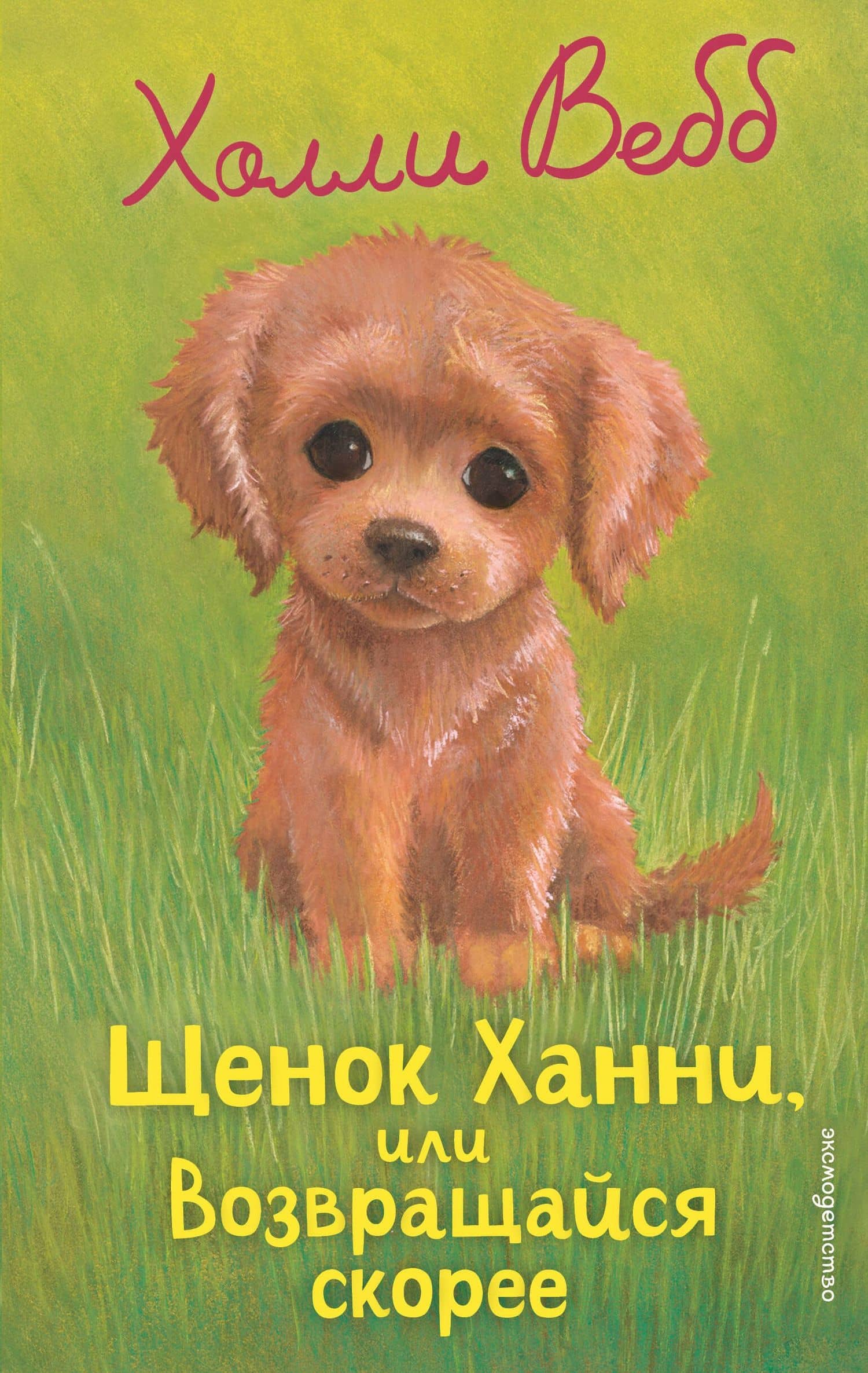 Щенок Ханни, или Возвращайся скорее — Холли Вебб