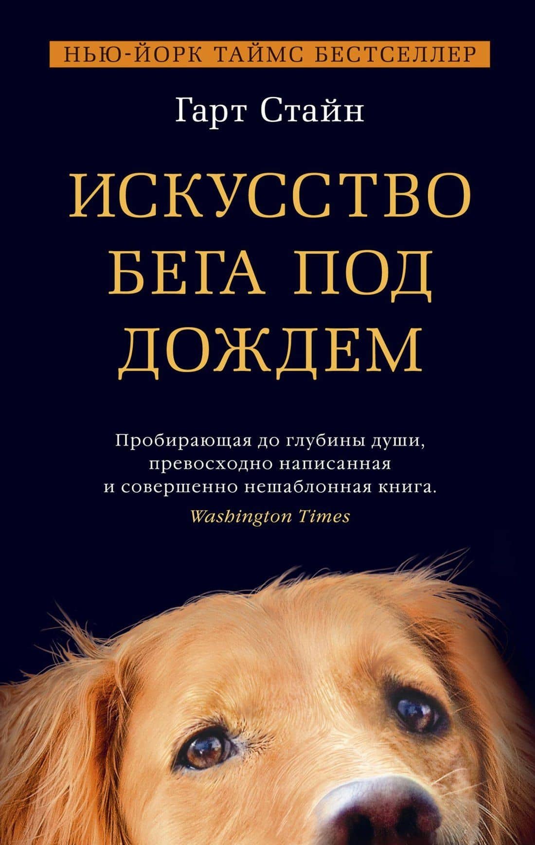 Искусство бега под дождем — Гарт Стайн