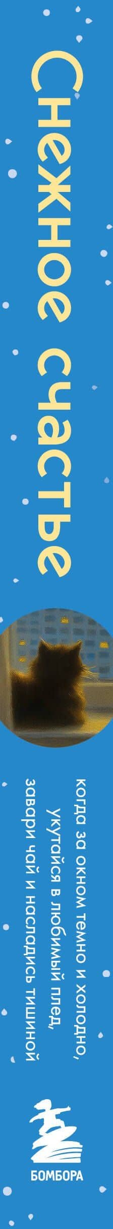 Снежное счастье. Когда за окном темно и холодно, укутайся в любимый плед, завари чай и насладись тишиной — Кари Лейбовиц (3)