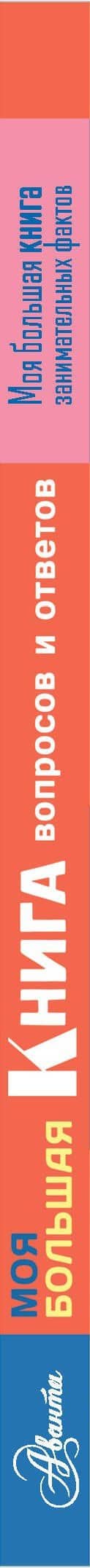 Моя большая книга вопросов и ответов — Лайза Риган (3)