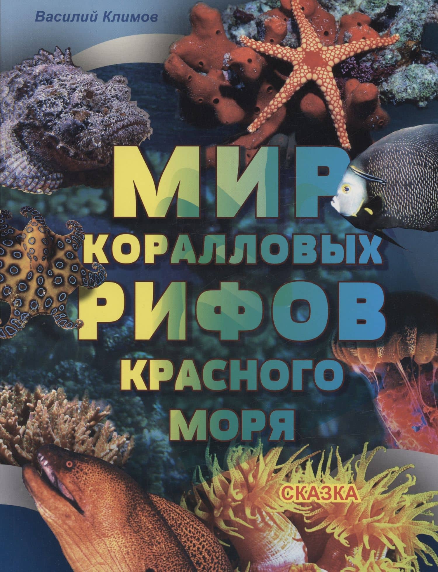 Мир коралловых рифов Красного моря — Василий Владимирович Климов
