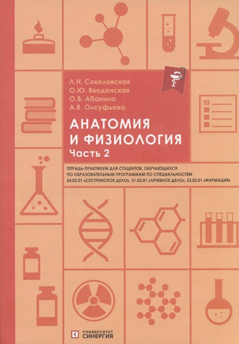 Анатомия и физиология. Тетрадь-практикум. Часть 2 — Ольга Юрьевна Введенская