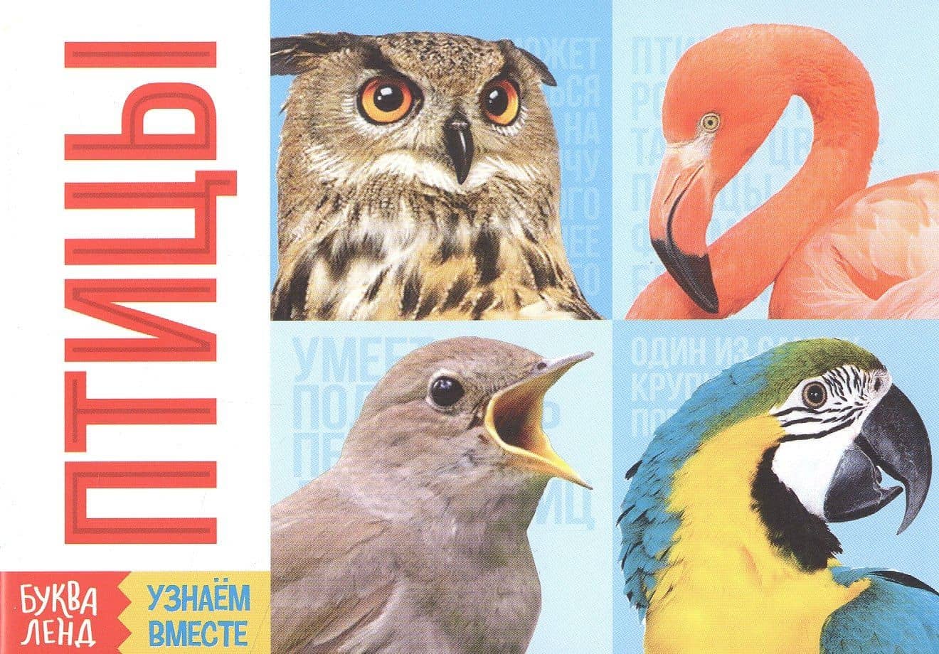 Обучающая книга «Птицы»