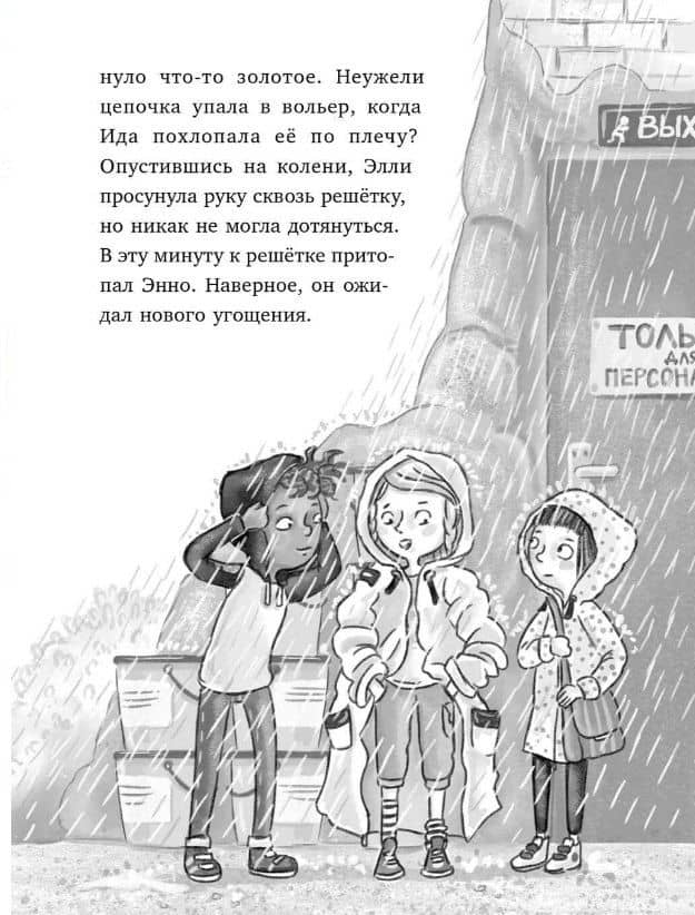 Маленькая тайна большого слона — Кирстен Фогель (3)