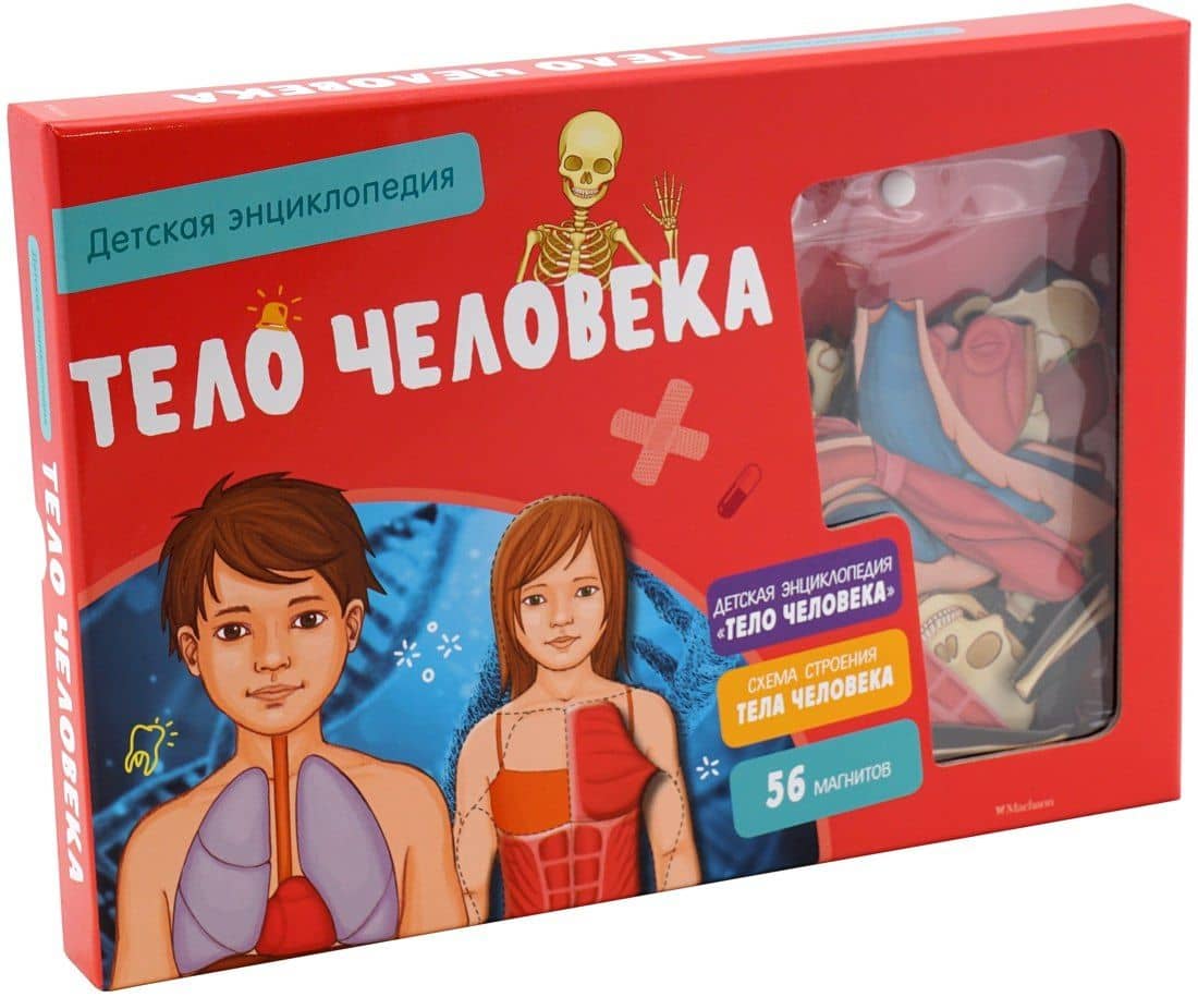 Тело человека. Детская энциклопедия (нов.оф.) (в коробке) — Адель Педрола (2)
