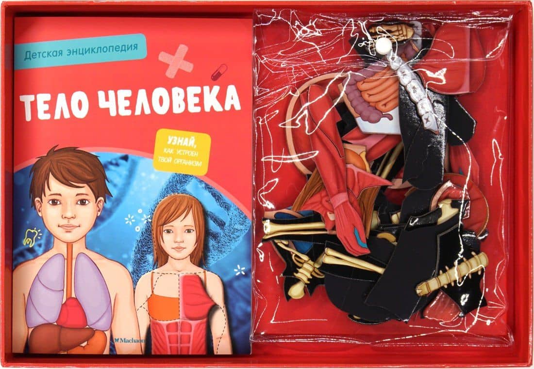 Тело человека. Детская энциклопедия (нов.оф.) (в коробке) — Адель Педрола (3)