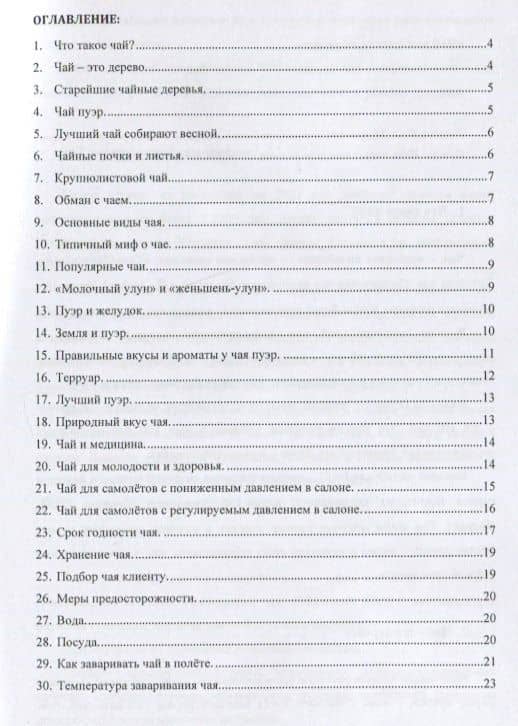 Чай в бизнес-авиации — Илья Эдуардович Коничев (2)