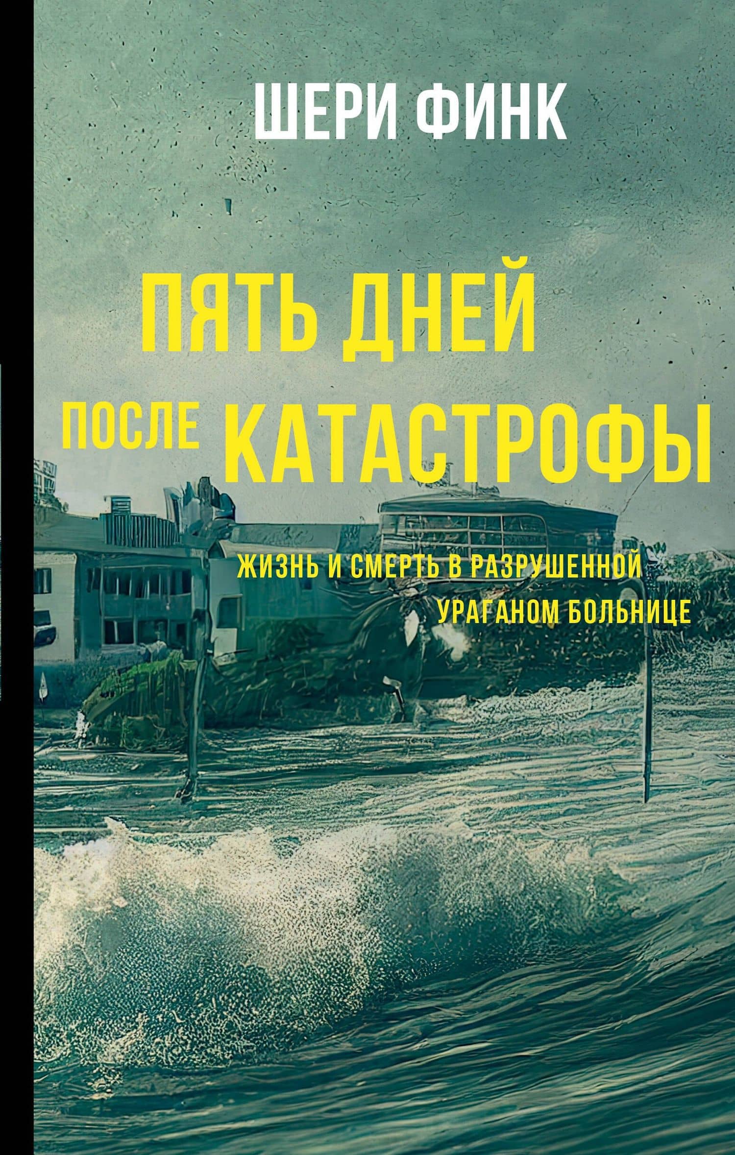 Пять дней после катастрофы — Шери Финк