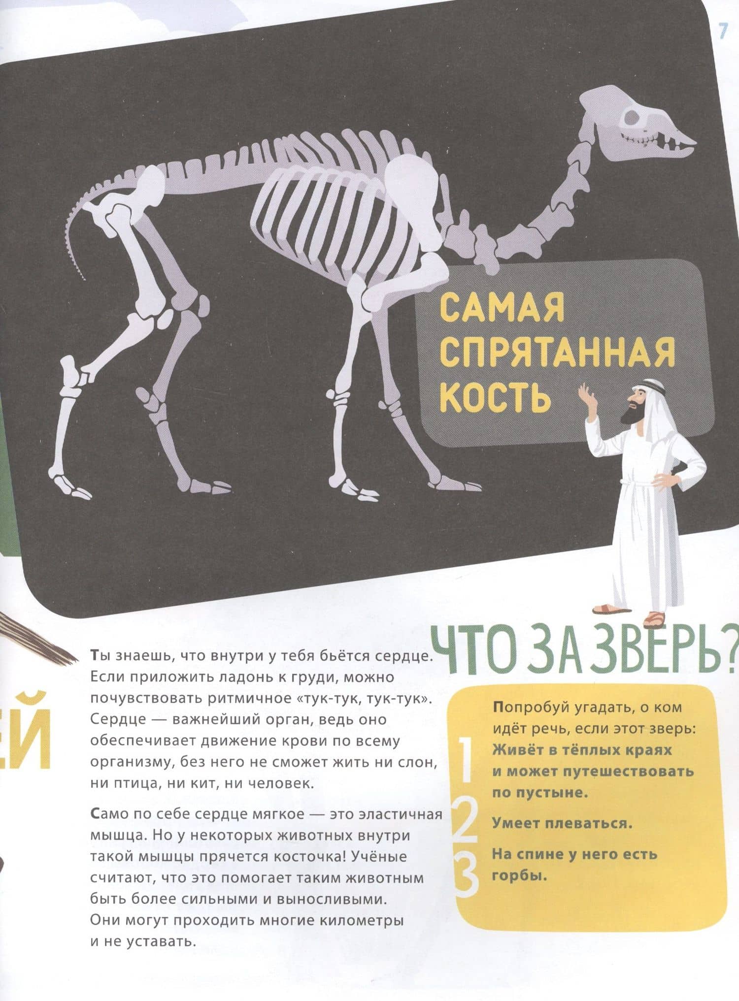Поразительные животные: кости и скелеты — Ксения Евдокимова (3)