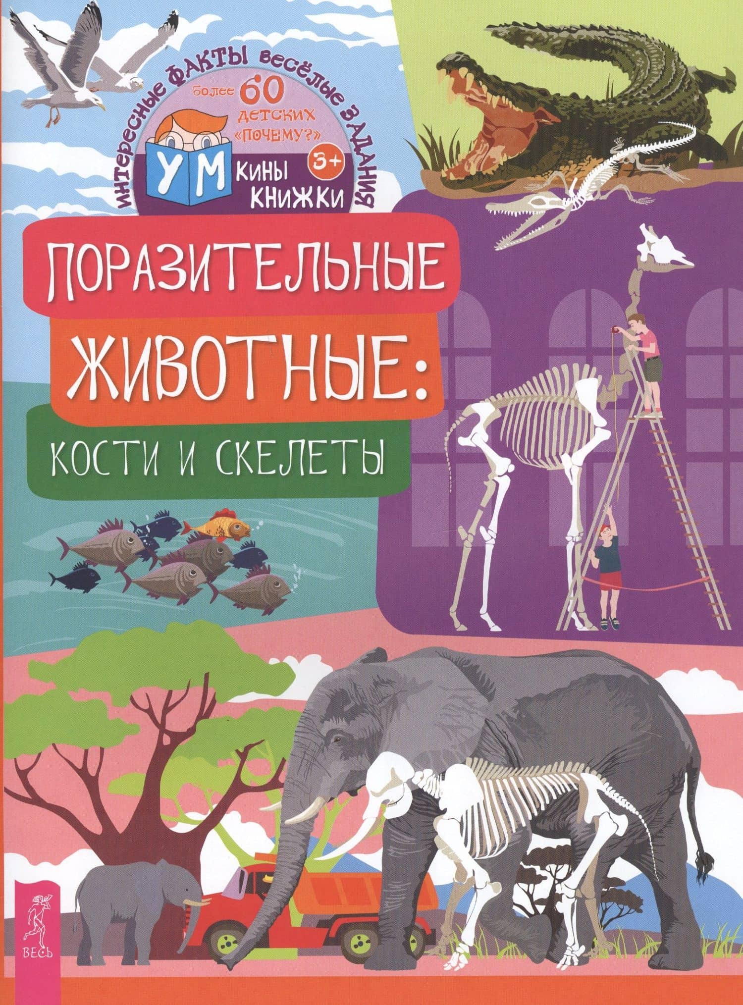 Поразительные животные: кости и скелеты