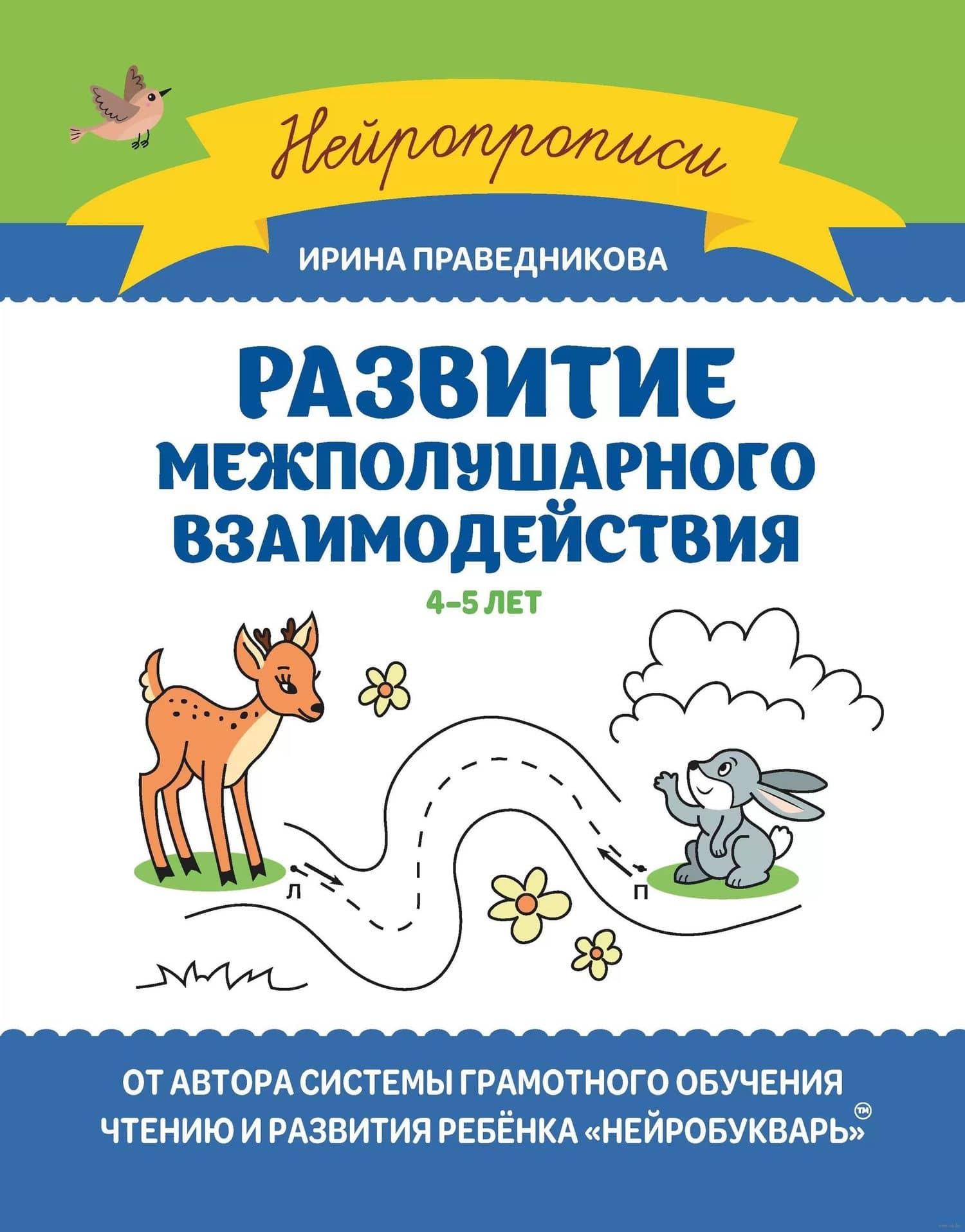 Развитие межполушарного взаимодействия. 4-5 лет — Ирина Игоревна Праведникова