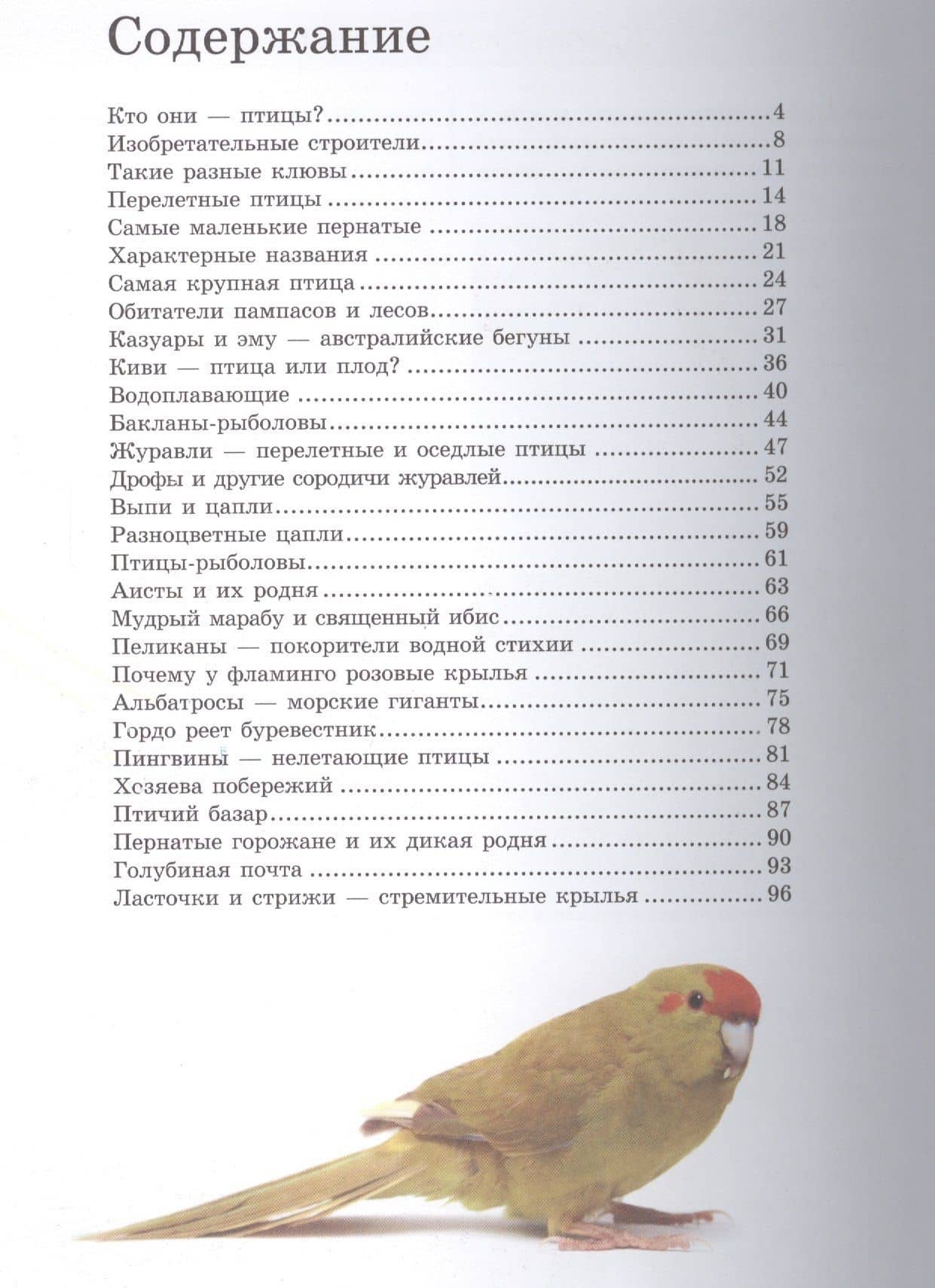 Птицы — Анна Артуровна Спектор (2)