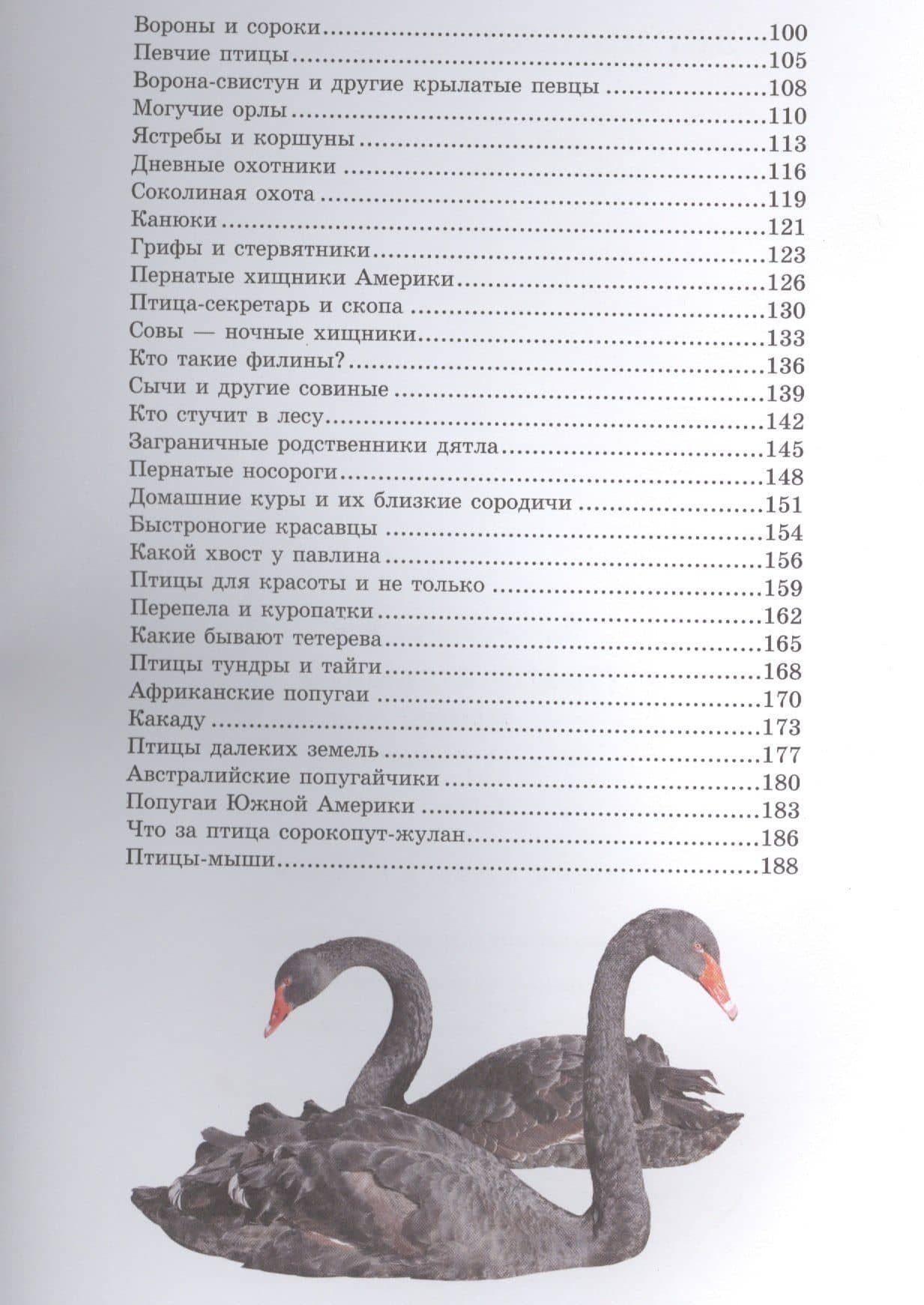 Птицы — Анна Артуровна Спектор (3)