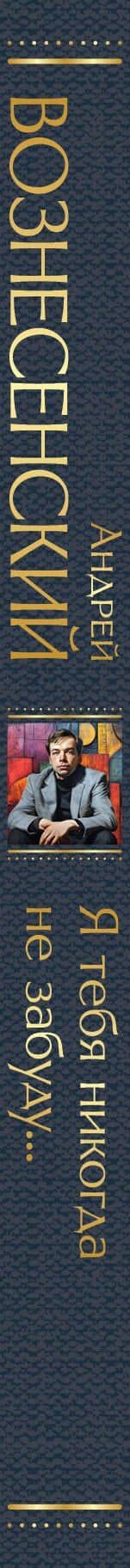 Я тебя никогда не забуду... Стихотворения — Андрей Вознесенский (3)