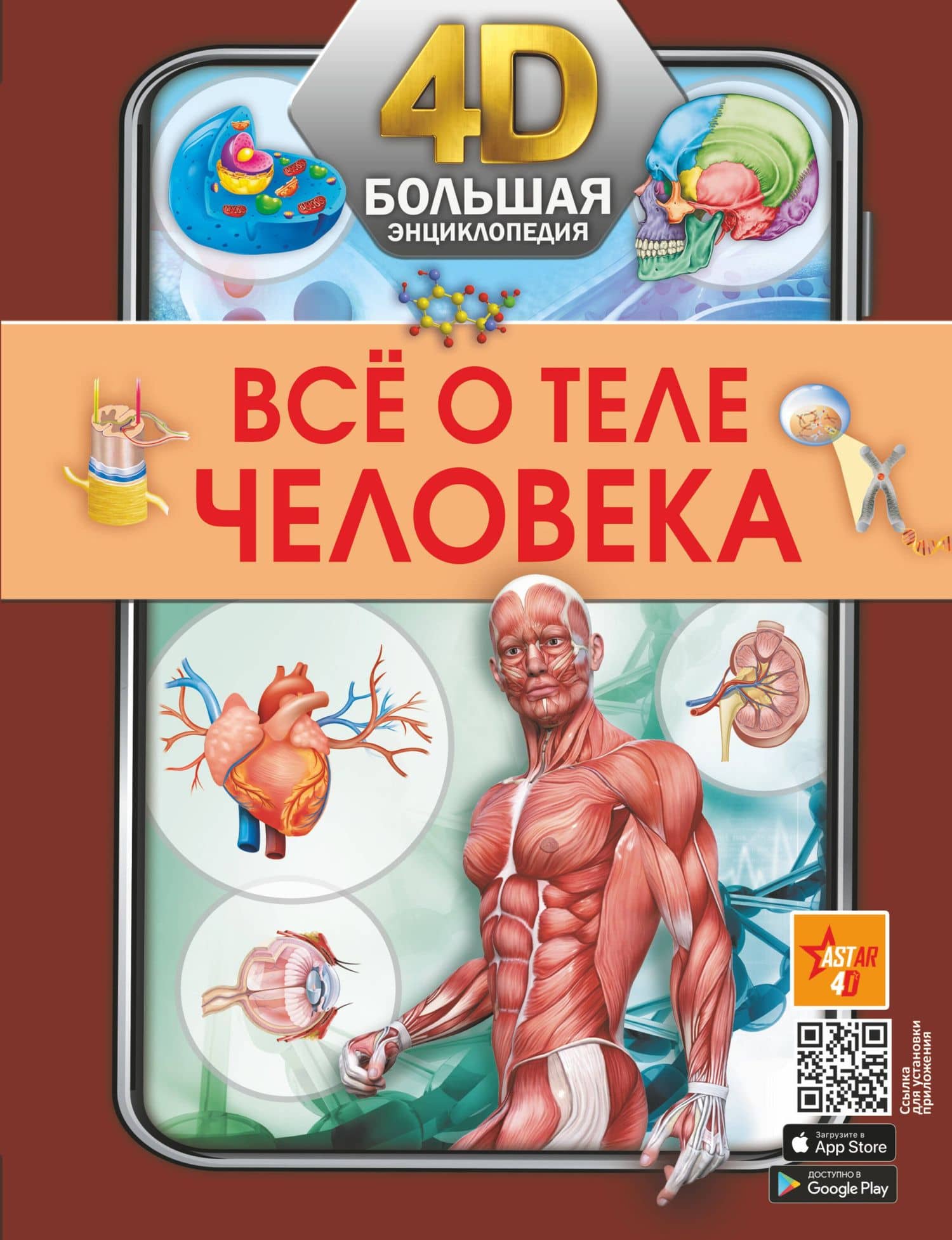 Всё о теле человека — Анна Артуровна Спектор