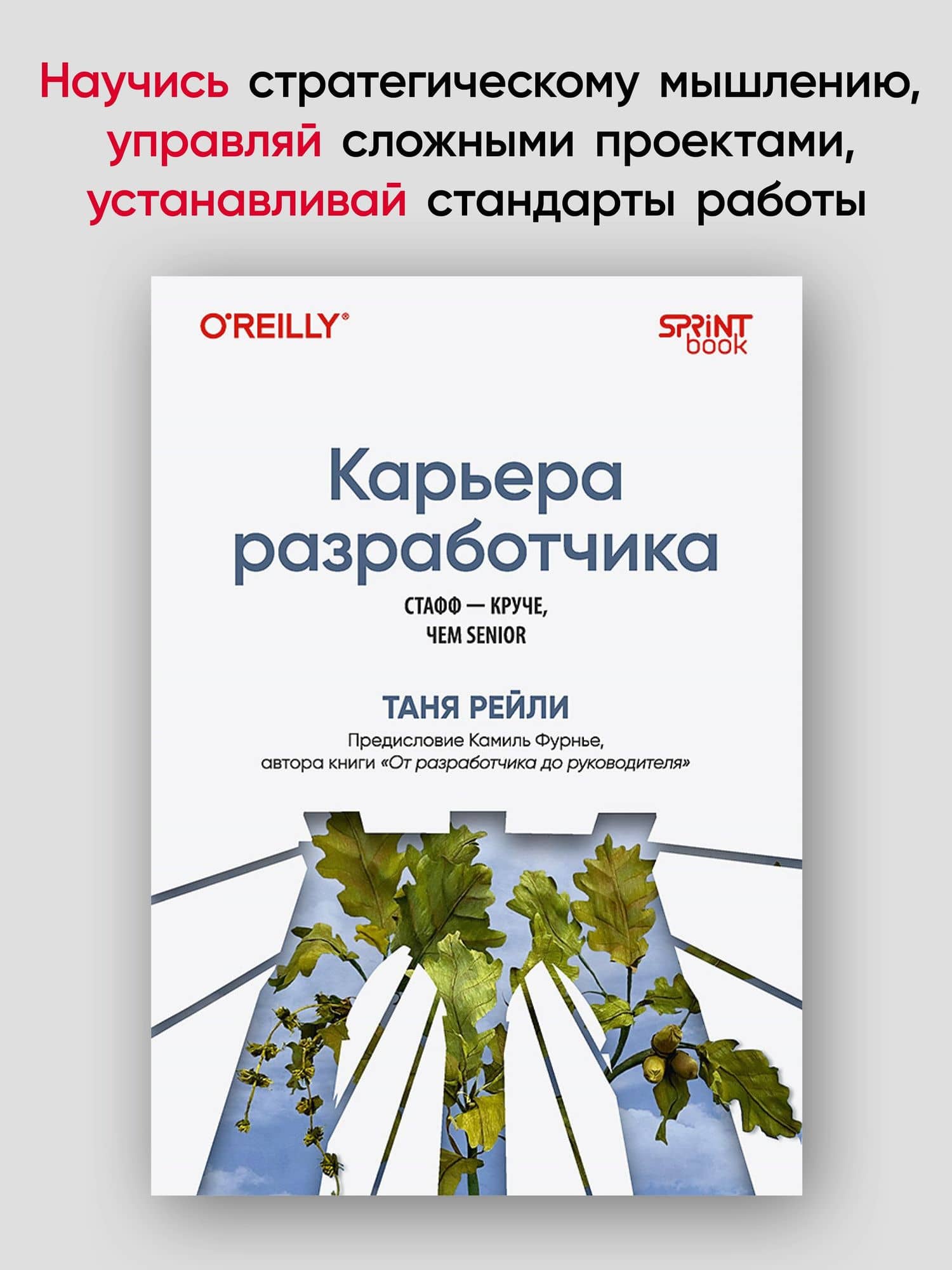 Карьера разработчика. Стафф - круче, чем senior — Рейли Т. (2)