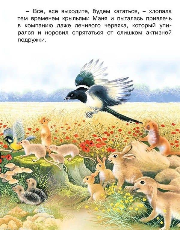 Необыкновенная Сова Маня (мПозЧт) Гурина (3)