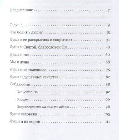 Душа — Адин Эвен-Исраэль (Штейнзальц) (2)