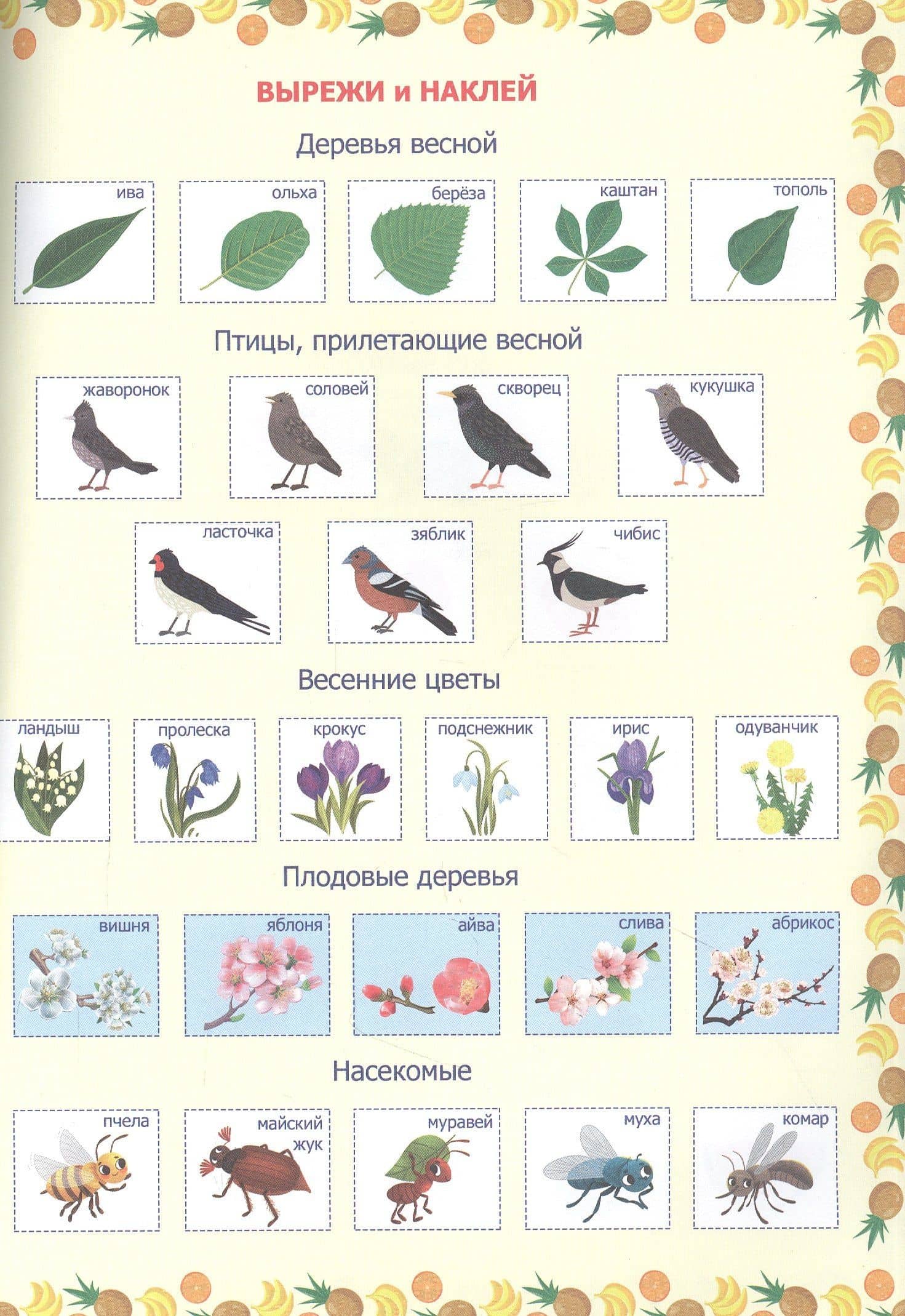 МОЙ ДНЕВНИК НАБЛЮДЕНИЯ ЗА ПРИРОДОЙ — Анастасия Грецкая (3)
