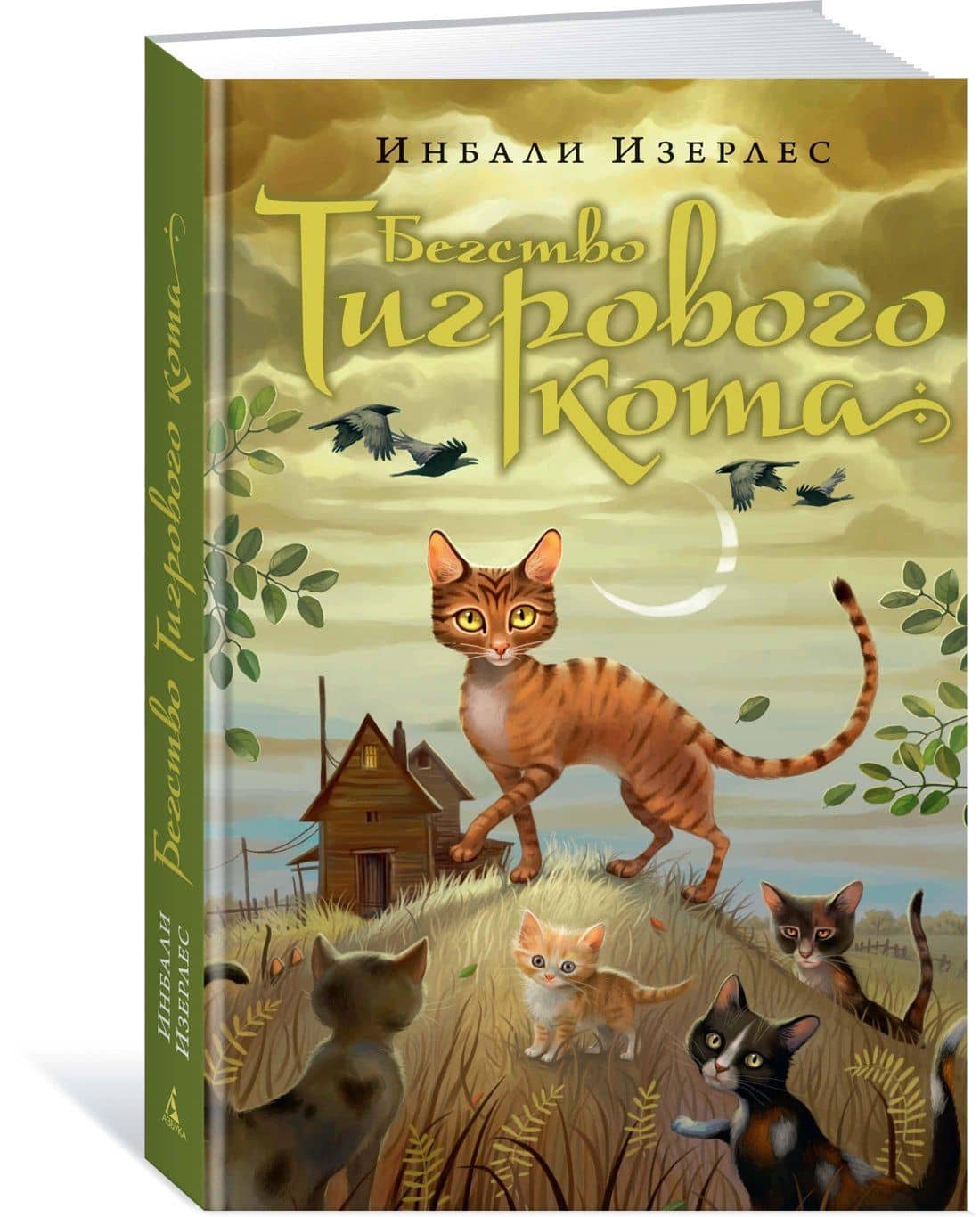 Бегство Тигрового кота. Кн.2 — Инбали Изерлес (2)