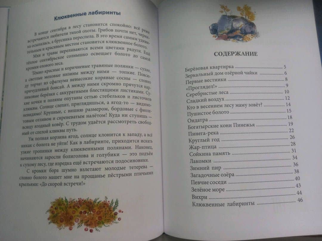 Зеркальный дом озерной чайки — Евгения Чарушина-Капустина (3)