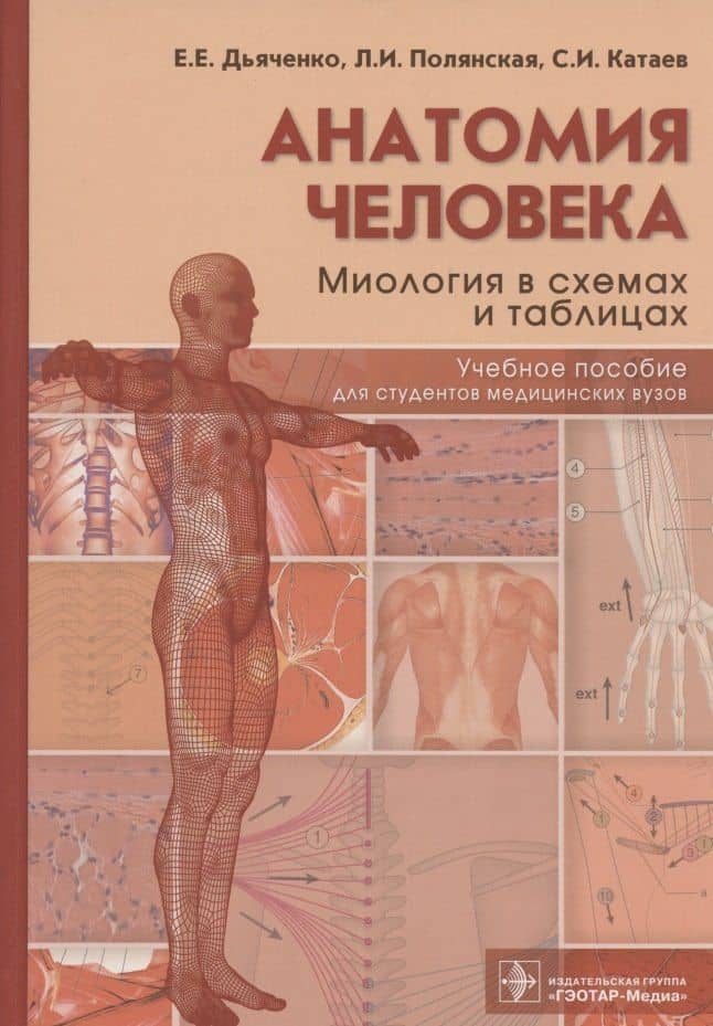 Анатомия человека: миология в схемах и таблицах. Учебное пособие — Екатерина Евгеньевна Дьяченко