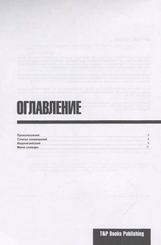 Разговорник индонезийский (+мини-словарь на 250 слов) — Андрей Михайлович Таранов (2)