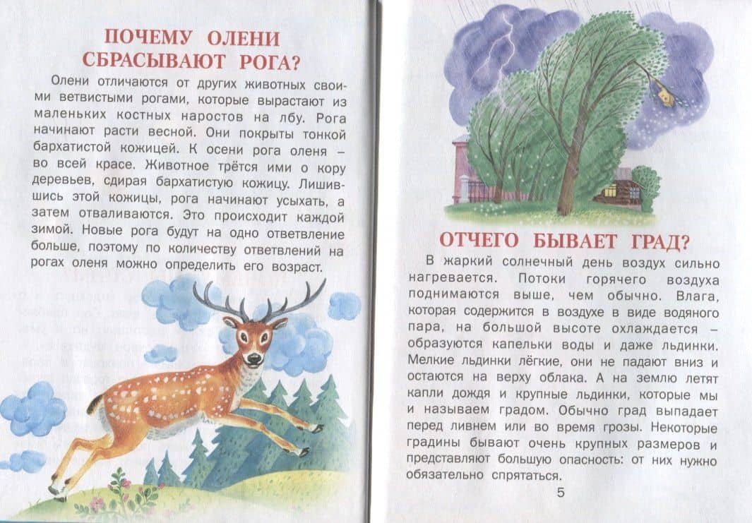Малышкина почемучка — Елена Николаевна Агинская (2)