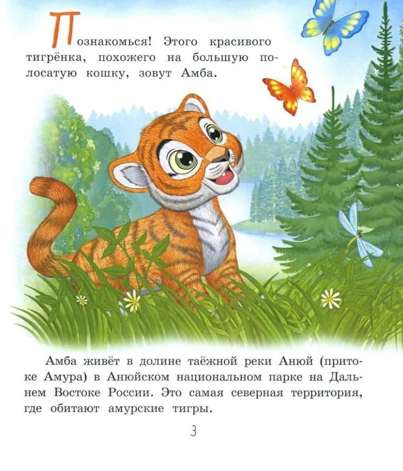 О тигрёнке Амбе и его друзьях: для занятий с детьми дошкольного возраста — Ольга Викторовна Федина (2)