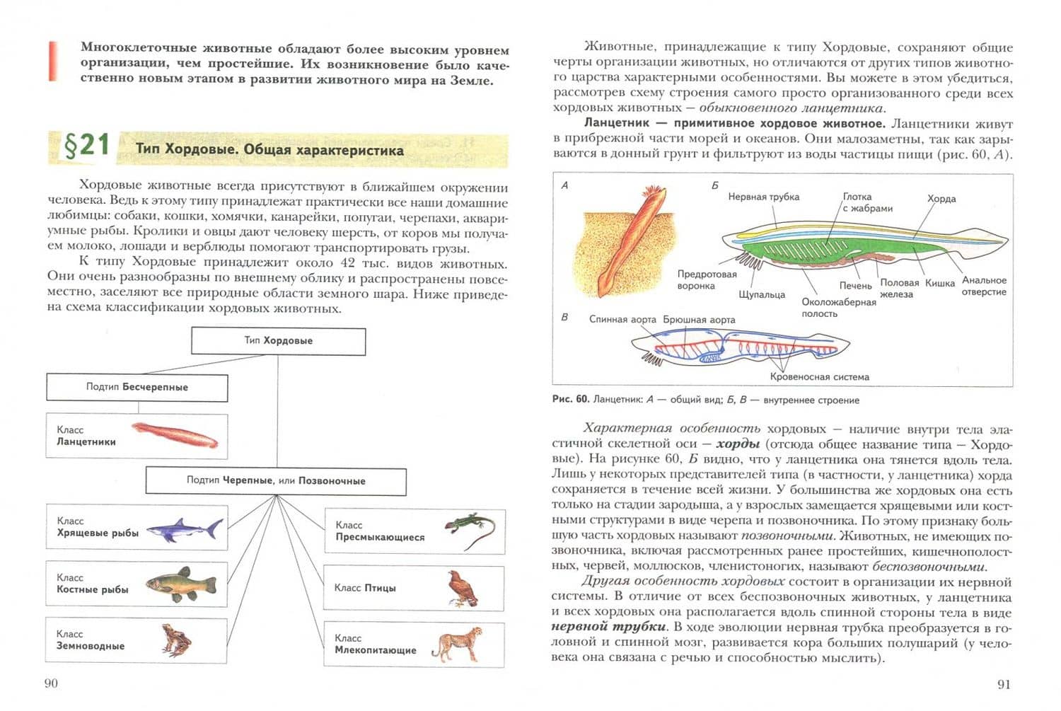 Биология. 7 класс. Учебник. ФГОС — Светлана Петровна Шаталова (3)
