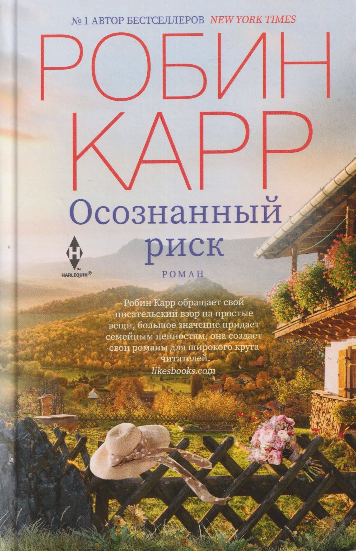 Осознанный риск. Роман — Робин Карр