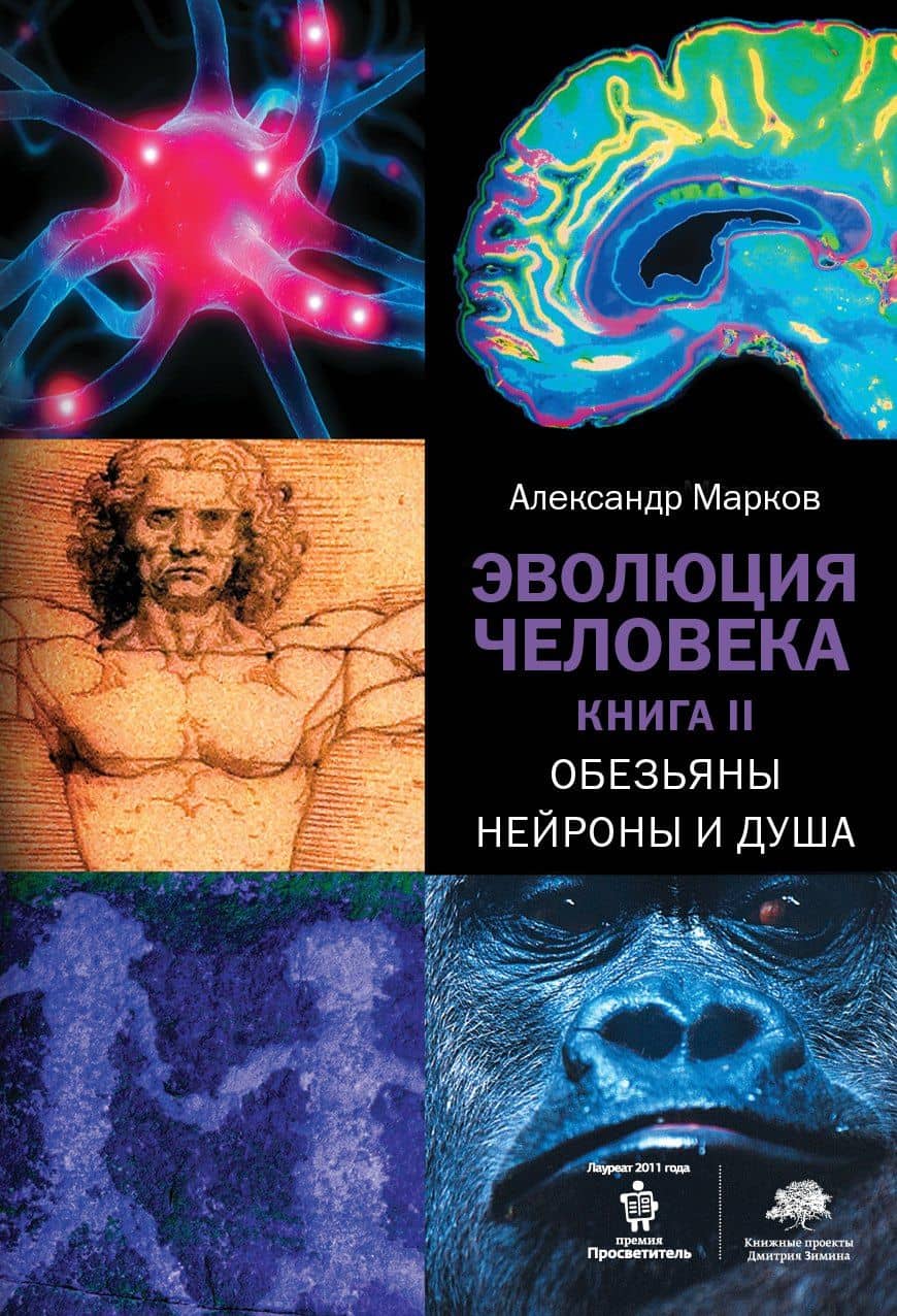 Эволюция человека. Книга II.Обезьяны, нейроны и душа — Александр Владимирович Марков