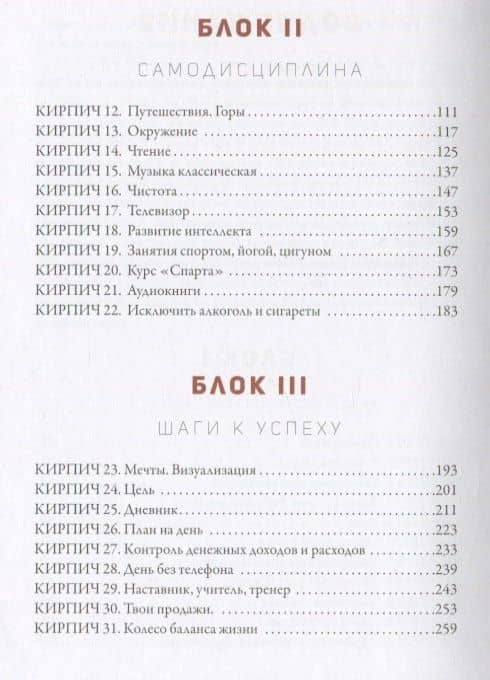 50 кирпичей успеха — Синеркин А.Е. (3)