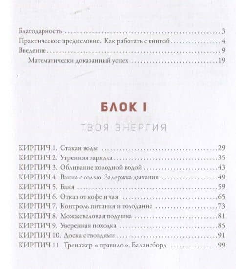 50 кирпичей успеха — Синеркин А.Е. (2)