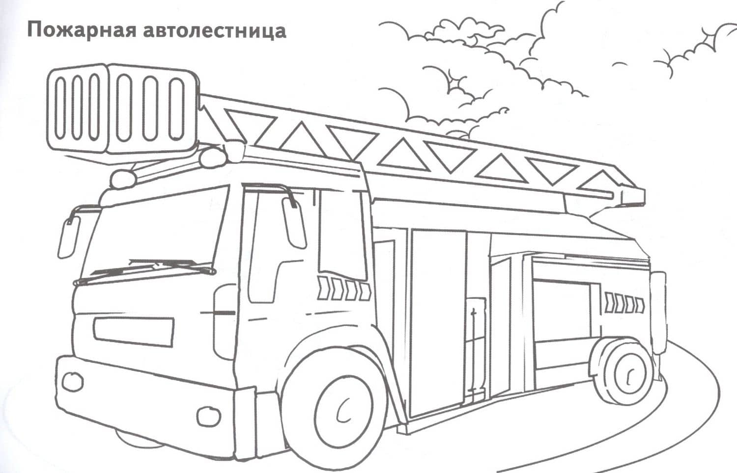 Специальный транспорт (2)