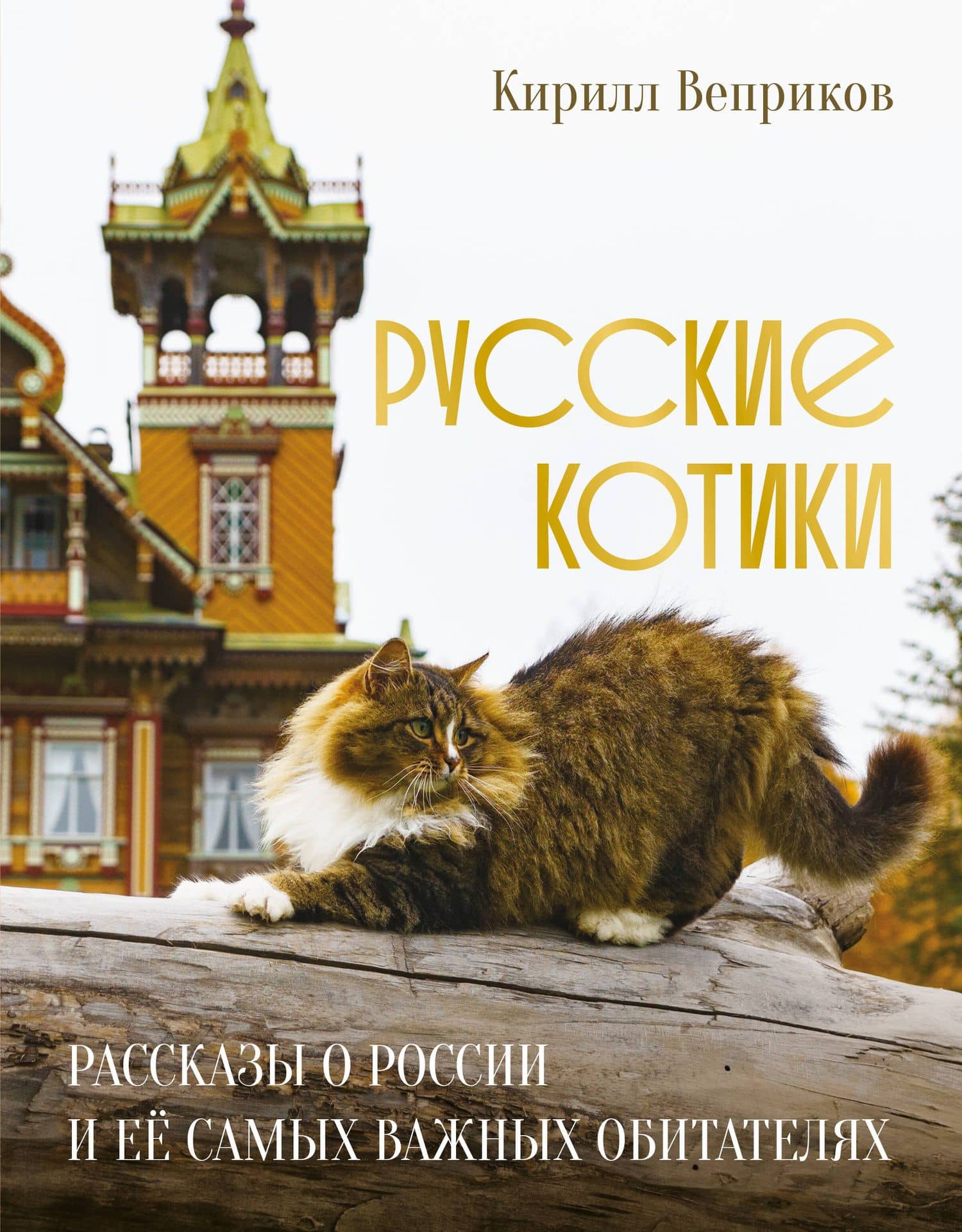 Русские котики. Рассказы о России и её самых важных обитателях — Кирилл Веприков