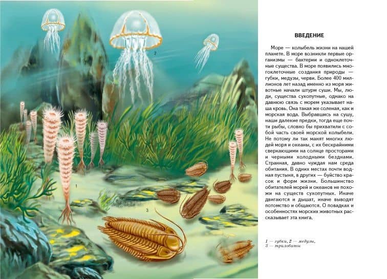 В морях и океанах. — Сергей Юрьевич Афонькин (2)