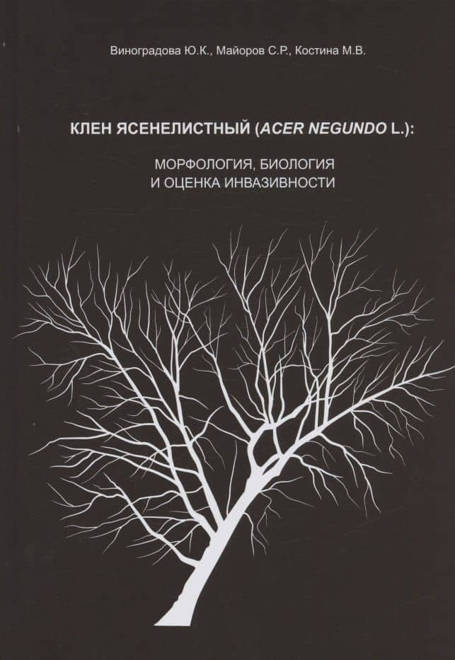 Клен ясенелистный (Acer negundo L.): морфология, биология и оценка инвазивности — Марина Викторовна Костина